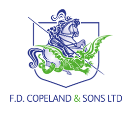 FD-Copeland